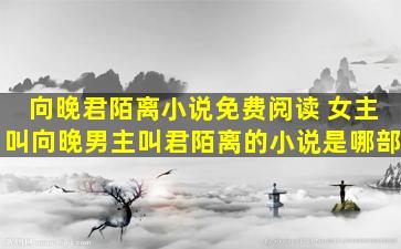 向晚君陌离小说免费阅读 *叫向晚男主叫君陌离的小说是哪部